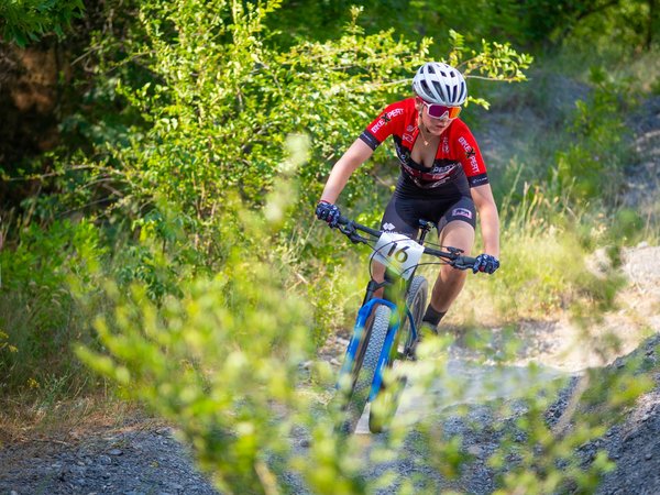 Les tendances actuelles dans l'industrie des moteurs de vélo